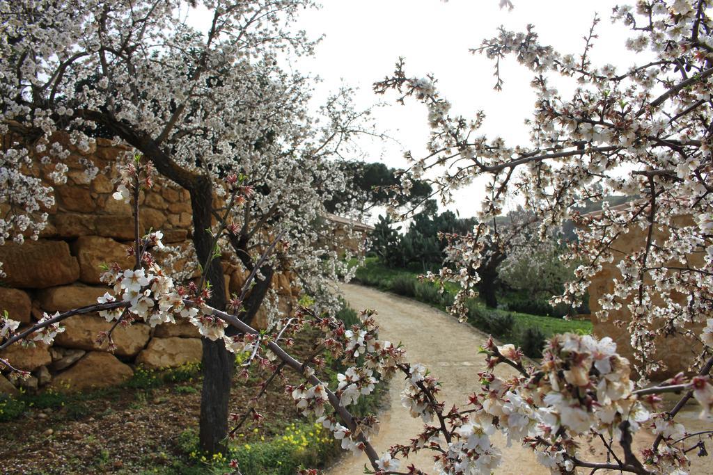 Agriturismo Feudo Muxarello Aragona Zewnętrze zdjęcie
