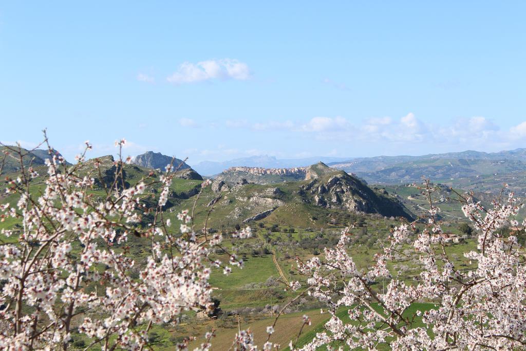 Willa Agriturismo Feudo Muxarello Aragona Zewnętrze zdjęcie